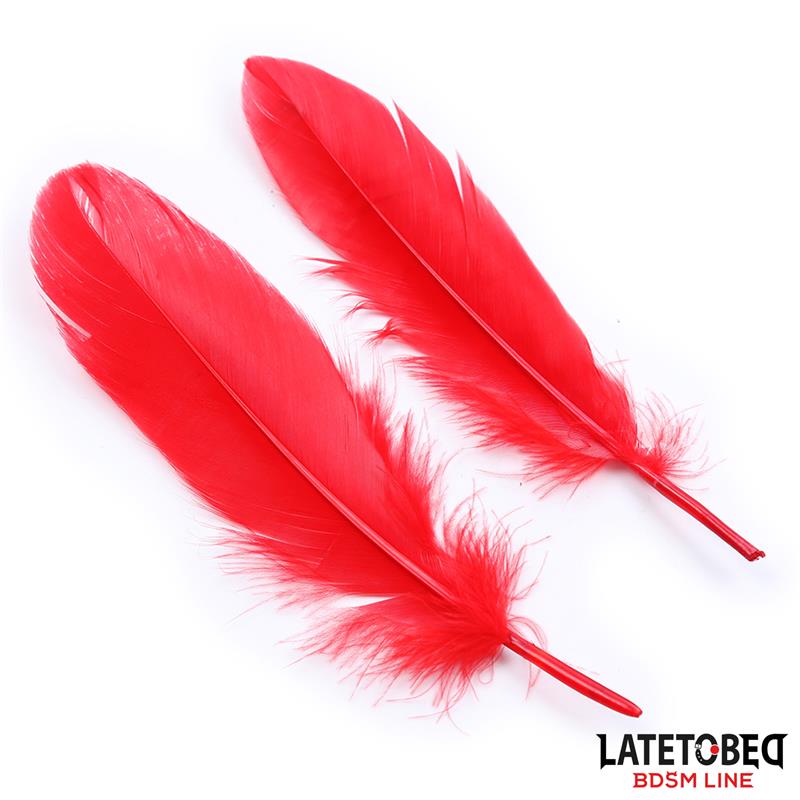 LATETOBED BDSM LINE RED